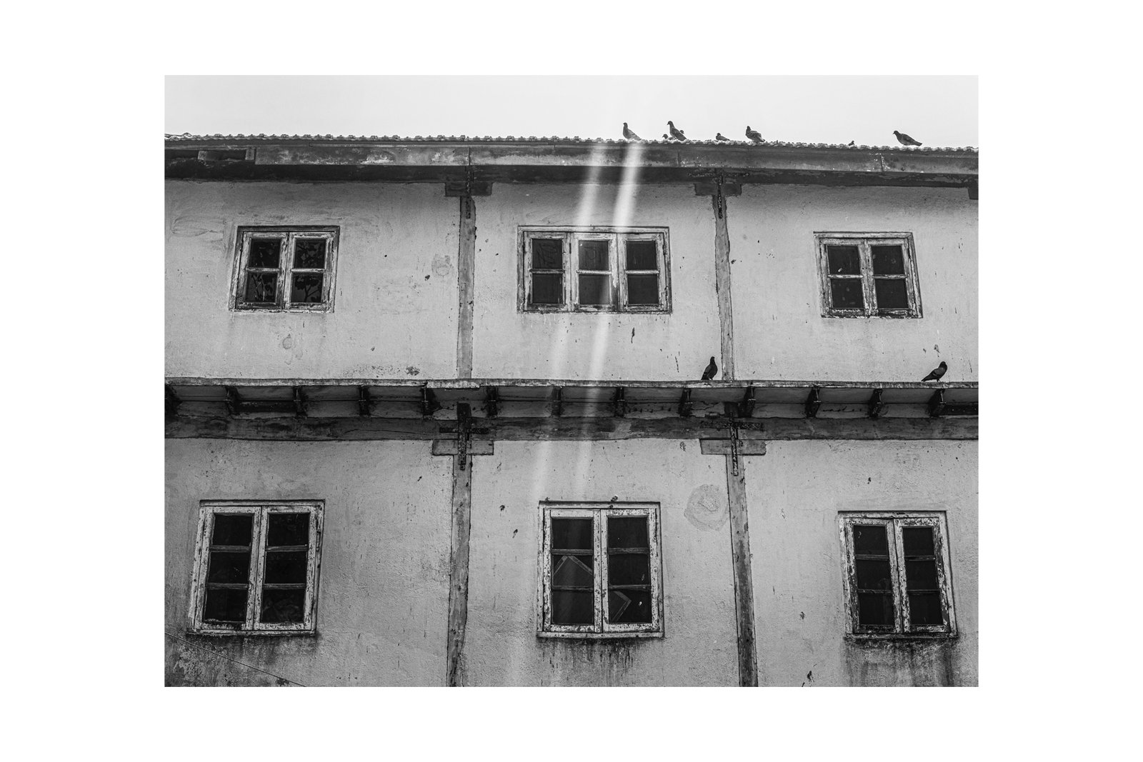 Street Photography