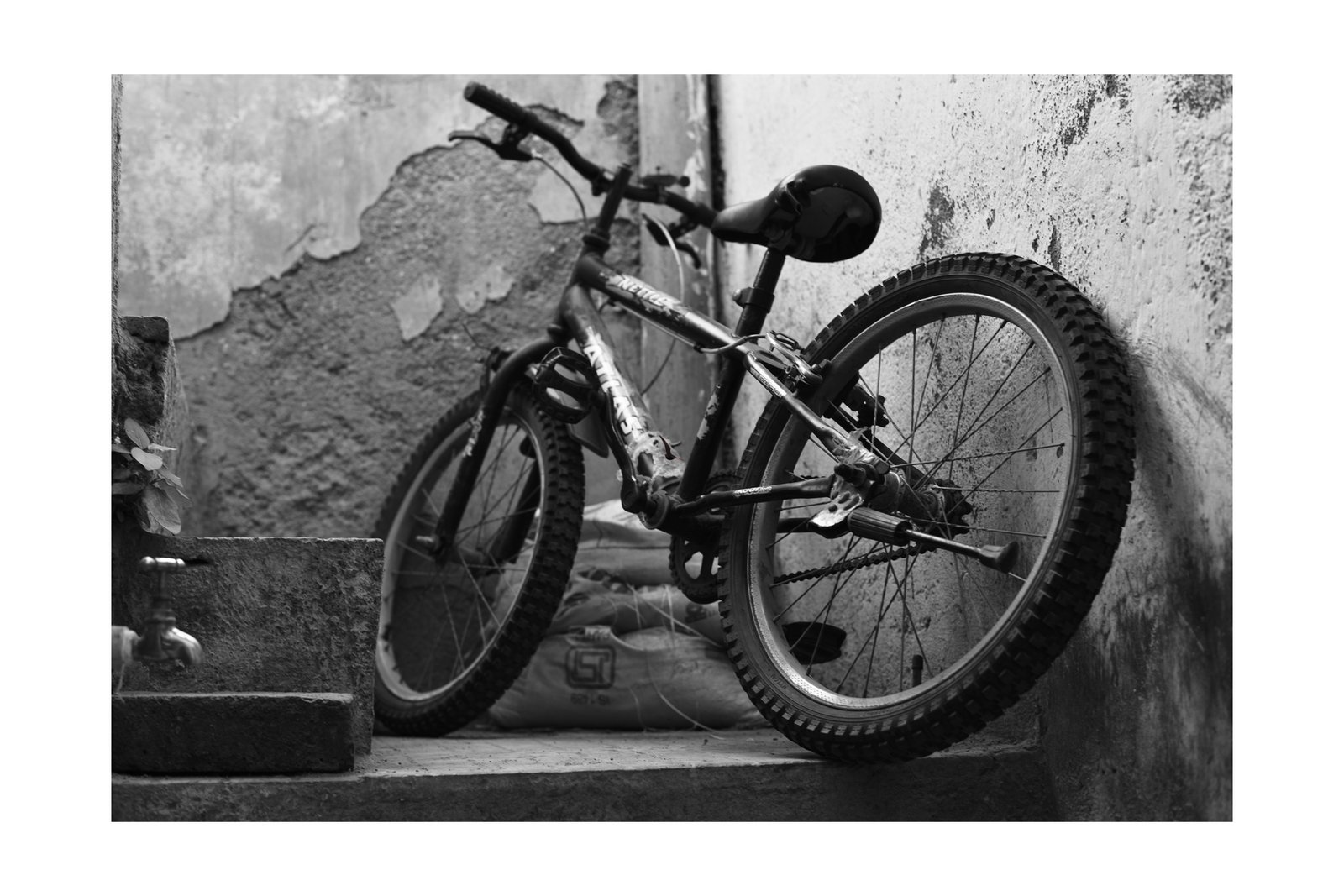 Street Photography